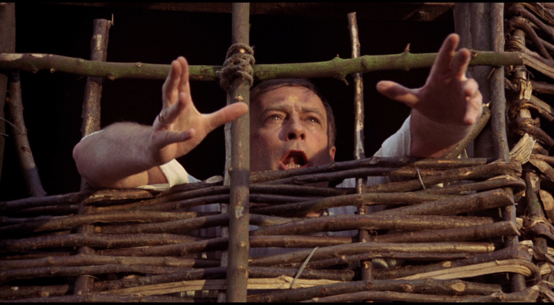 Man held behind a wicker cage